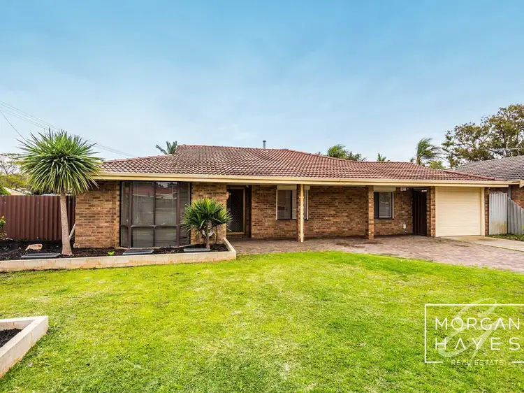 Main view of Homely house listing, 16 Dotterel Way, Yangebup WA 6164