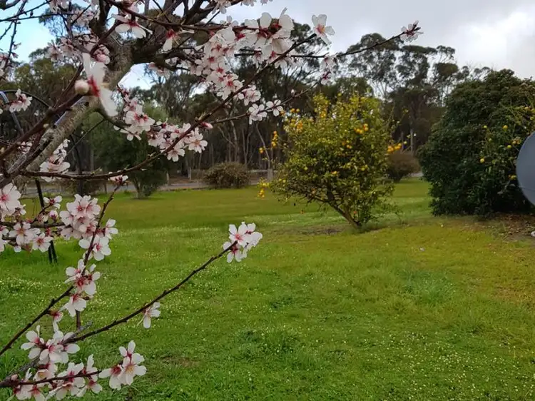 Main view of Homely house listing, 44 Fourth Avenue, Kendenup WA 6323