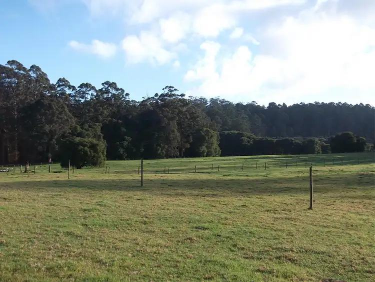 Sixth view of Homely rural property listing, 8 Callcup Road, Pemberton WA 6260