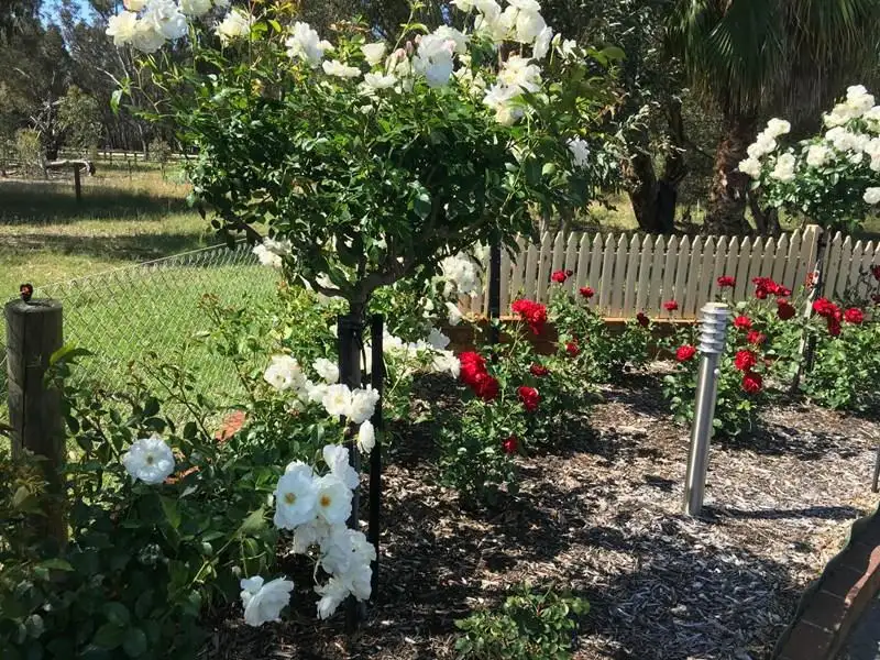 Main view of Homely house listing, 49 Evening Peal, Darling Downs WA 6122