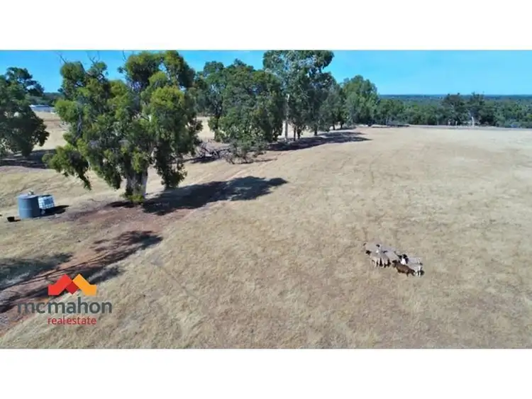 Fifth view of Homely rural property listing, Lot 55 Byrne Street, Wannamal WA 6505