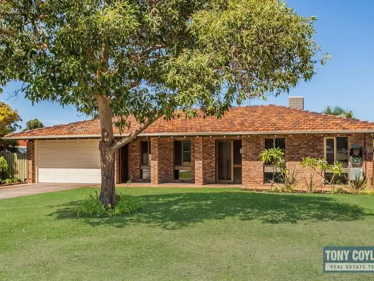 Main view of Homely house listing, 10 Bondini Way, Bibra Lake WA 6163