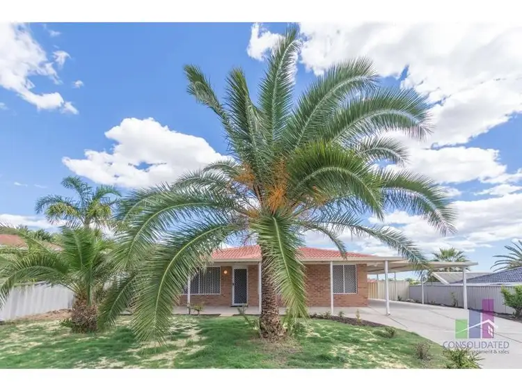 Second view of Homely house listing, 6 Veldt Mews, Mirrabooka WA 6061