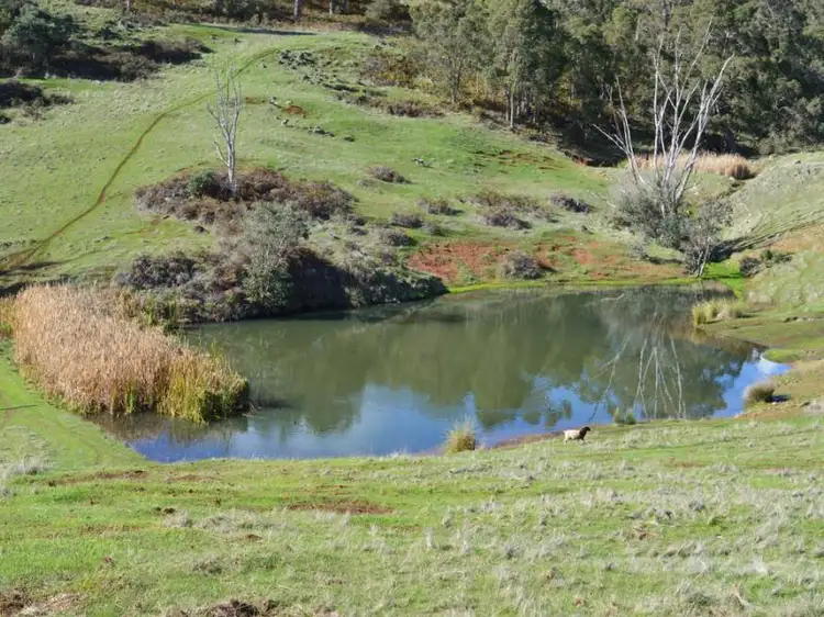 Fifth view of Homely rural property listing, Lot 5 Hearle Rd, Mumballup WA 6225