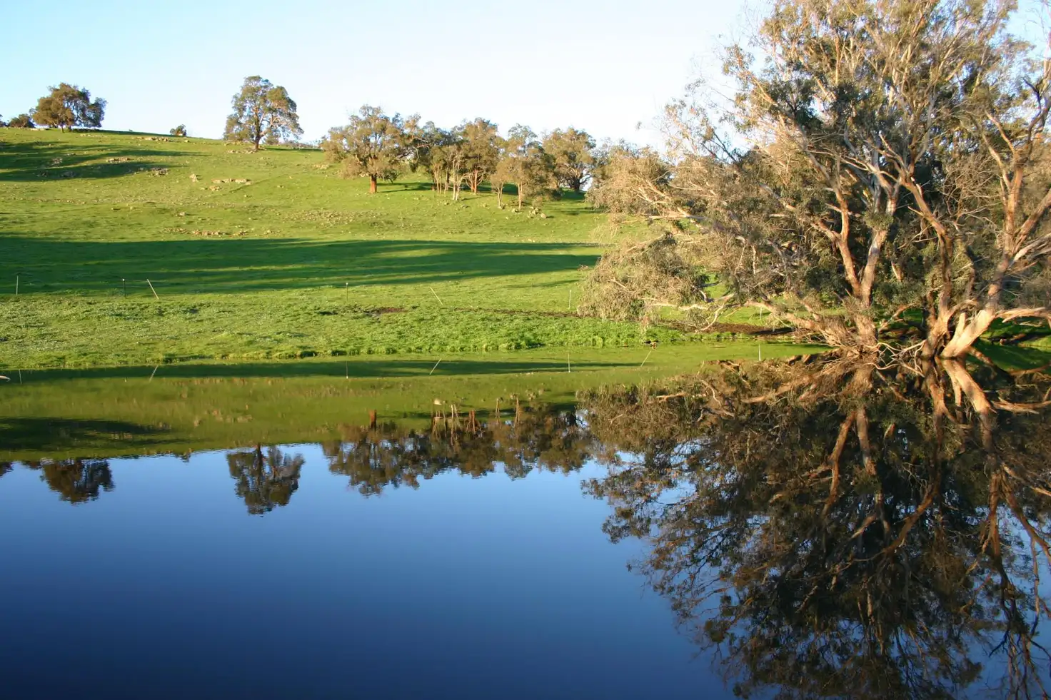 Main view of Homely rural property listing, Lot 54 Great Northern Highway, Bindoon WA 6502