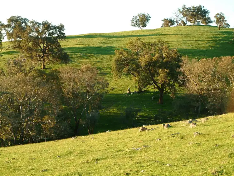 Fifth view of Homely rural property listing, Lot 54 Great Northern Highway, Bindoon WA 6502