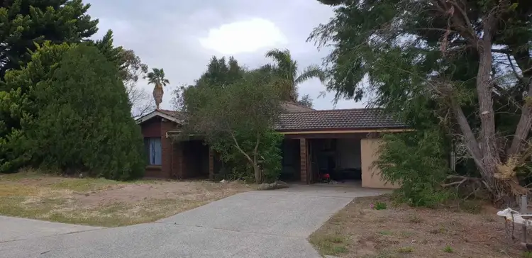 65 Adelaide Circle, Craigie WA 6025