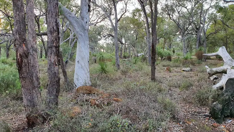 Fourth view of Homely land listing, 371 Forrest Hills Parade, Bindoon WA 6502