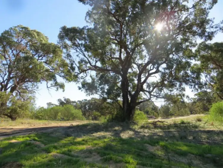 Third view of Homely land listing, Lot 171 Elderberry Link, Two Rocks WA 6037