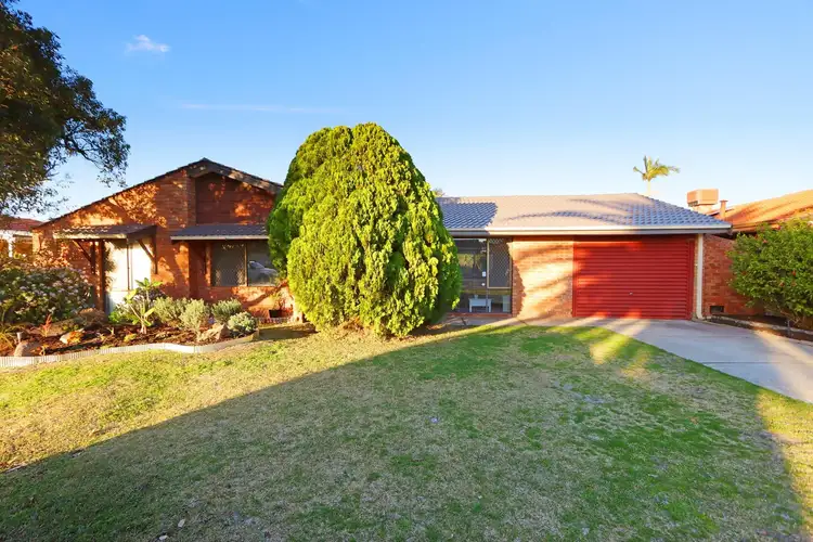 Main view of Homely house listing, 254 CRIMEA STREET, Noranda WA 6062