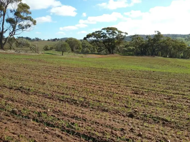 Sixth view of Homely land listing, Lot 1 Bindoon-Dewars Pool Road, Toodyay WA 6566