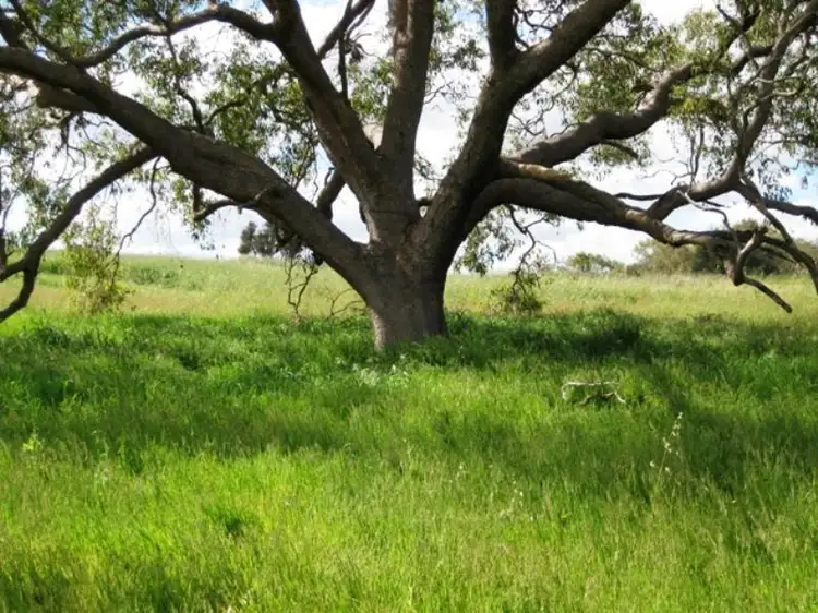Seventh view of Homely land listing, 96 Mchavloe Drive, Gingin WA 6503