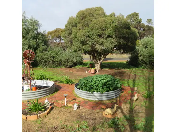 Second view of Homely rural property listing, 229 Richmond Street, Williams WA 6391