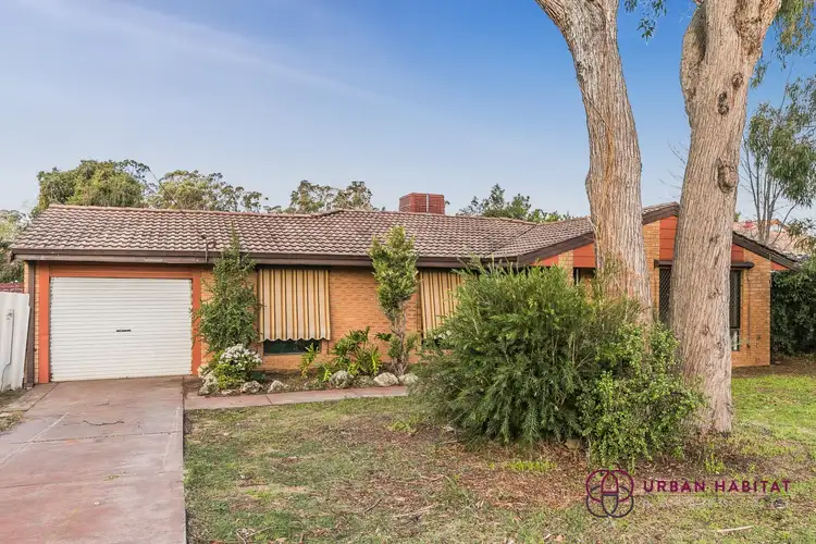 Main view of Homely house listing, 7 Cimbor Way, Parmelia WA 6167