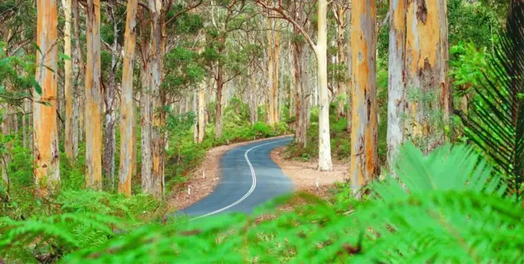 Fourth view of Homely land listing, 1 Bole Way, Karridale WA 6288