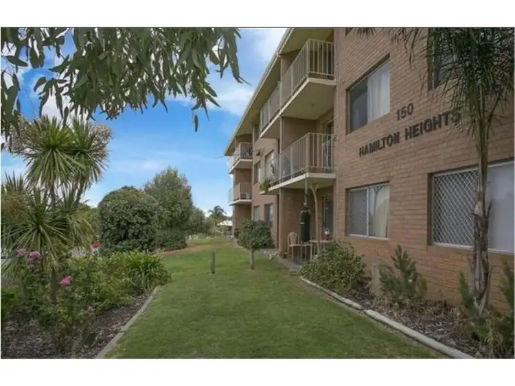 Main view of Homely apartment listing, 37/150 Healy Road, Hamilton Hill WA 6163
