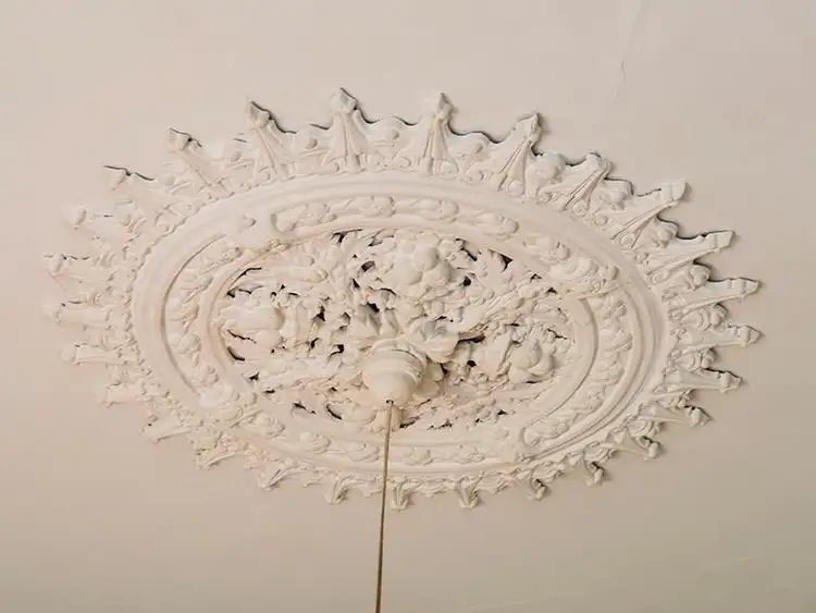 Fifth view of Homely house listing, 101 GROSVENOR ROAD, Mount Lawley WA 6050