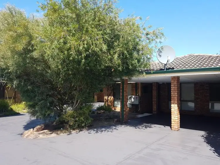 Second view of Homely unit listing, 9/290 McDonald Street, Yokine WA 6060