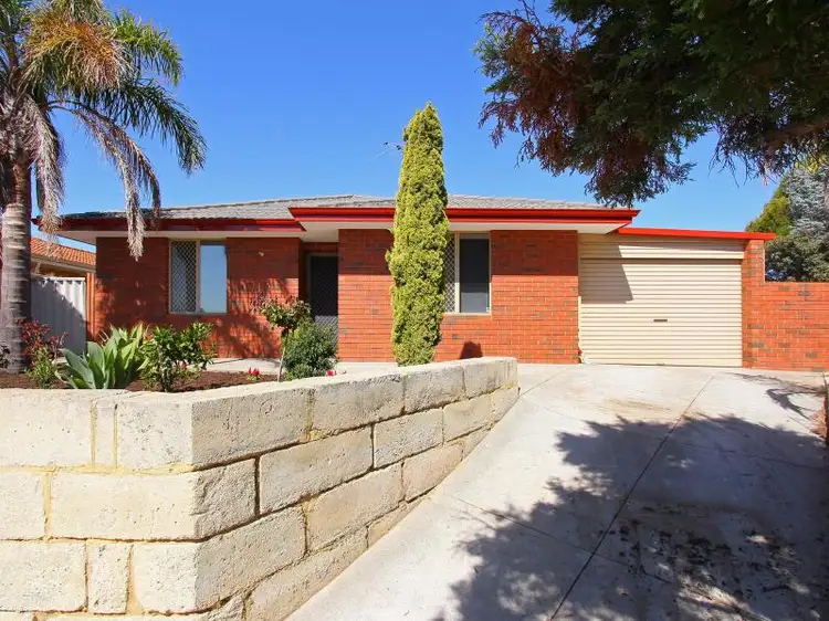 12 Pampus Court, Mirrabooka WA 6061