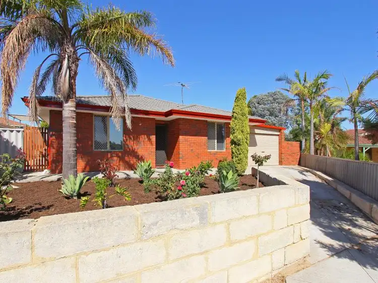 Third view of Homely house listing, 12 Pampus Court, Mirrabooka WA 6061