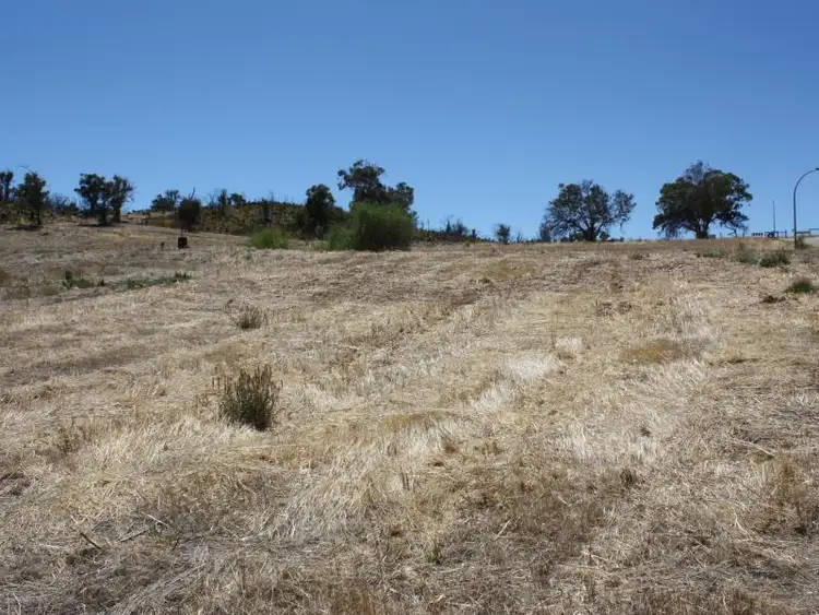 Third view of Homely land listing, Lot 82, Flame Street, Bindoon WA 6502
