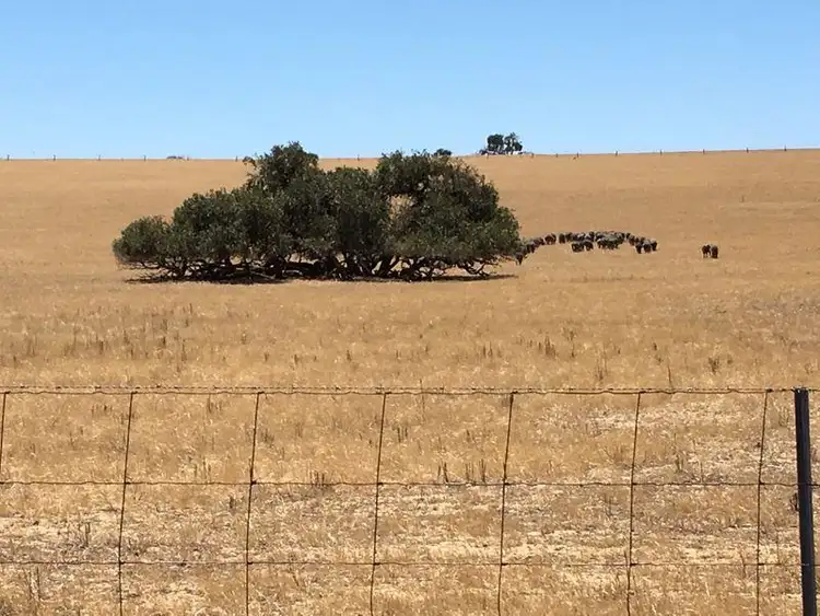 Fourth view of Homely rural property listing, Lot 1 Indian Ocean Drive, Gingin WA 6503