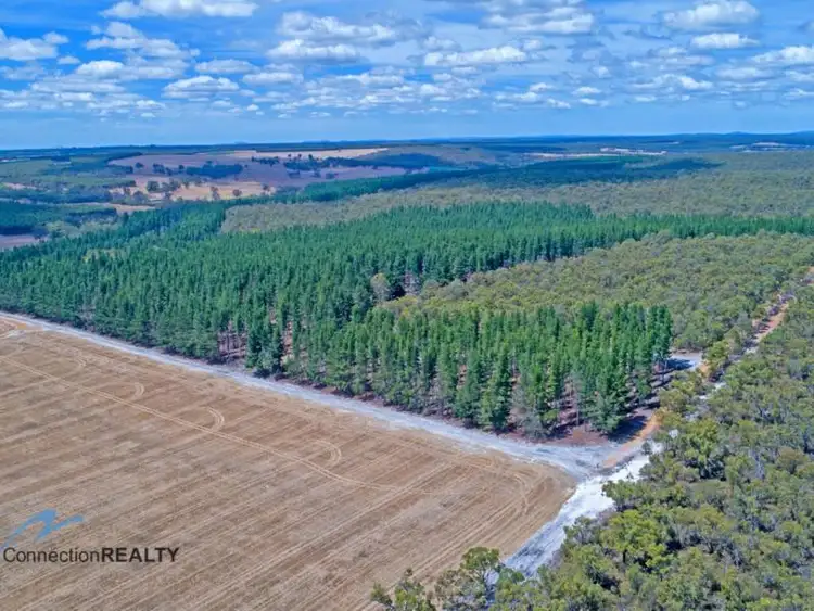 Second view of Homely rural property listing, Lot 12 Crystal Brook Road, Narrikup WA 6326