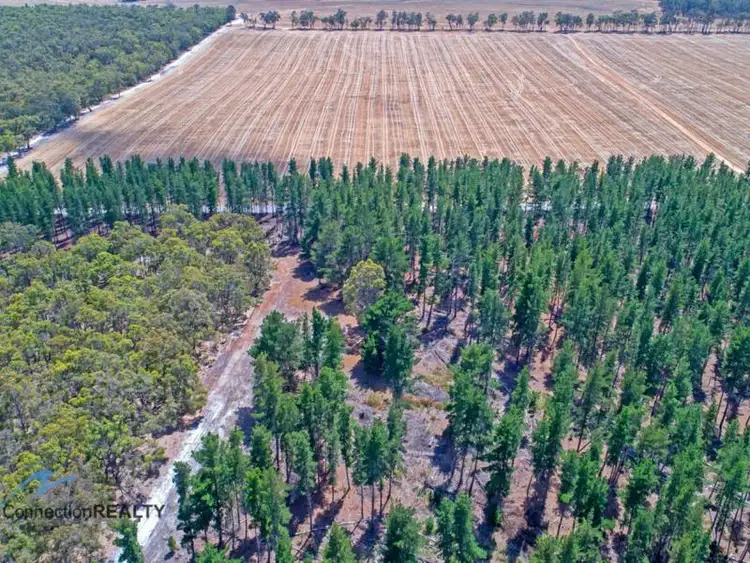 Fourth view of Homely rural property listing, Lot 12 Crystal Brook Road, Narrikup WA 6326