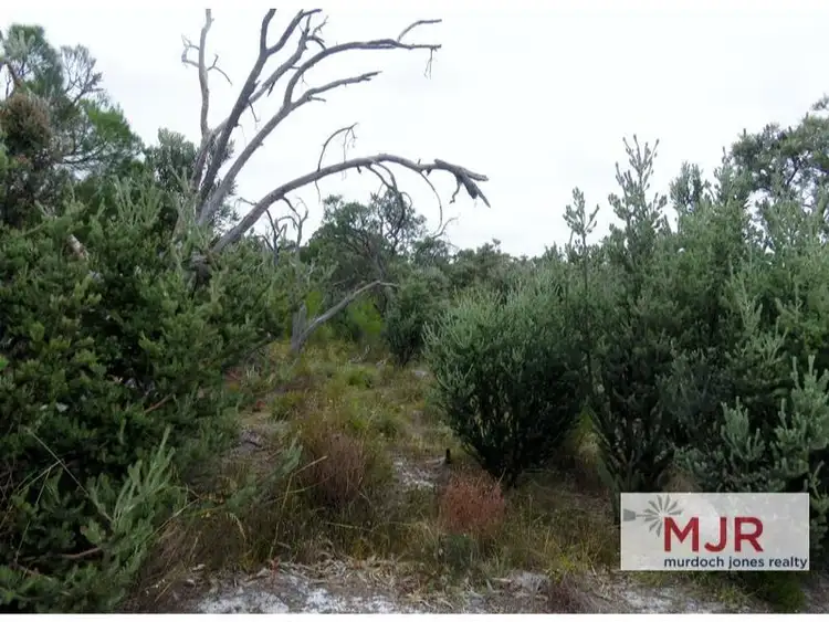 Fifth view of Homely land listing, 434 Rowley Road, Wandi WA 6167