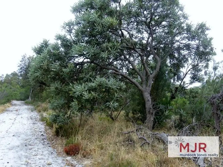Sixth view of Homely land listing, 434 Rowley Road, Wandi WA 6167