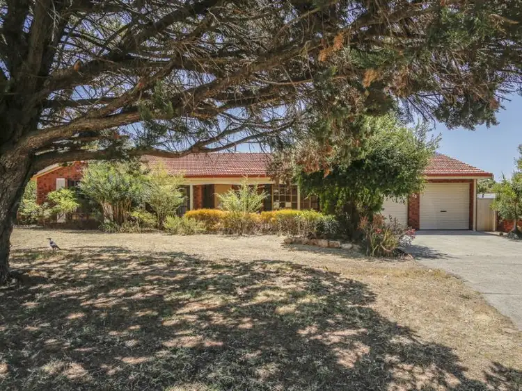 Second view of Homely house listing, 28 Cornhill Crescent, Alexander Heights WA 6064