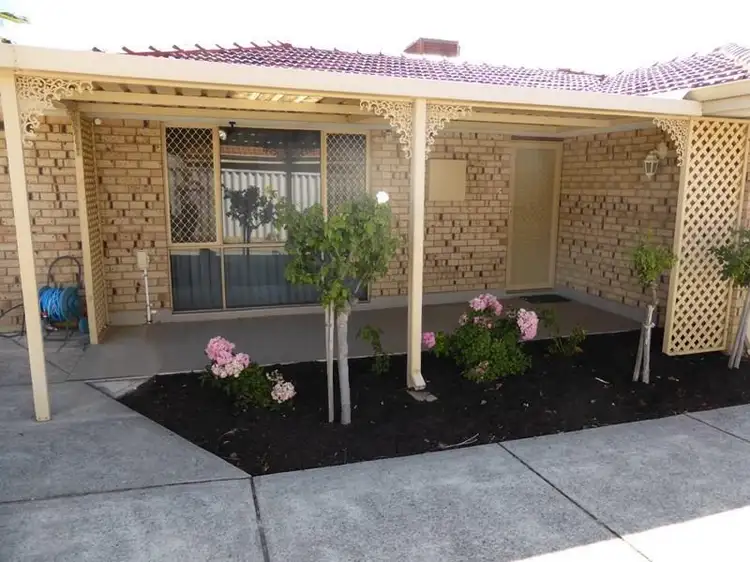 Main view of Homely semi-detached listing, 9A Alola Court, Alexander Heights WA 6064
