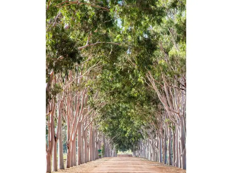 Seventh view of Homely land listing, Lot 175, Sellick Drive, Wundowie WA 6560