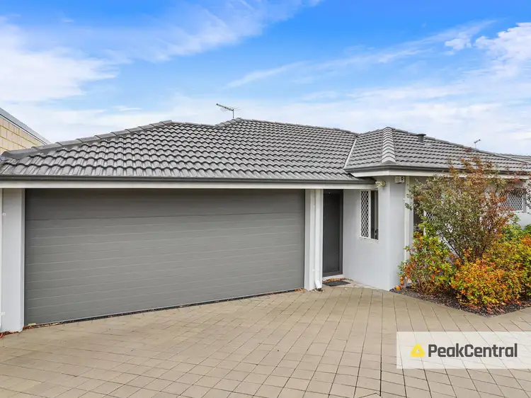 Main view of Homely house listing, 65B Camberwell Road, Balga WA 6061