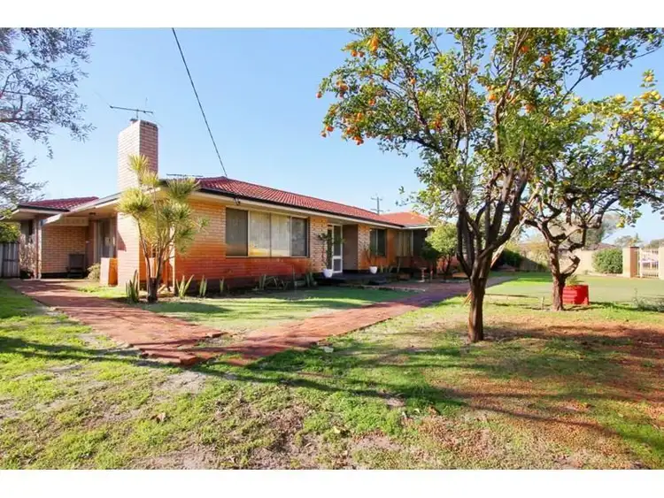 295 MORLEY DRIVE, Dianella WA 6059