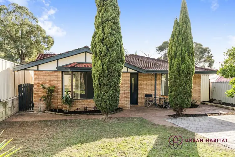 Fifth view of Homely house listing, 38 Cimbor Way, Parmelia WA 6167
