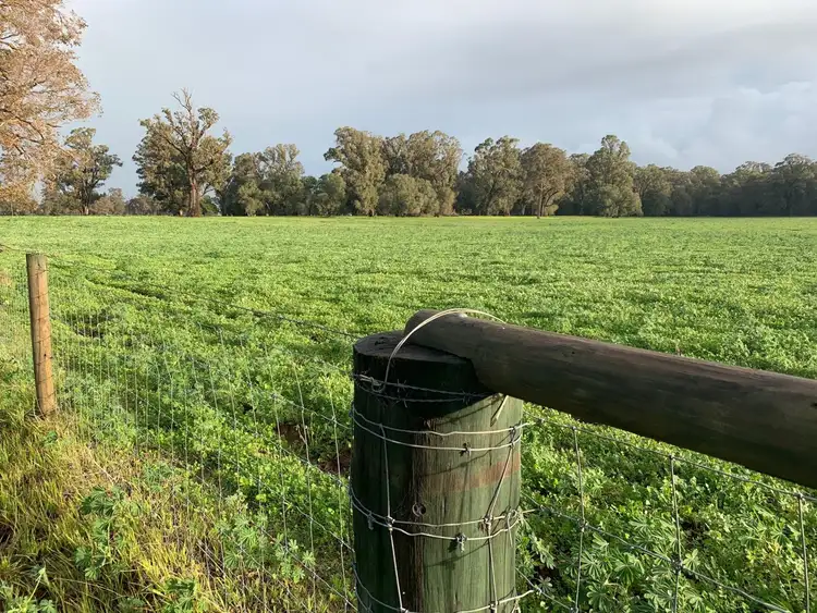Main view of Homely rural property listing, Lot 209 Mallokup Road, Stirling Estate WA 6271