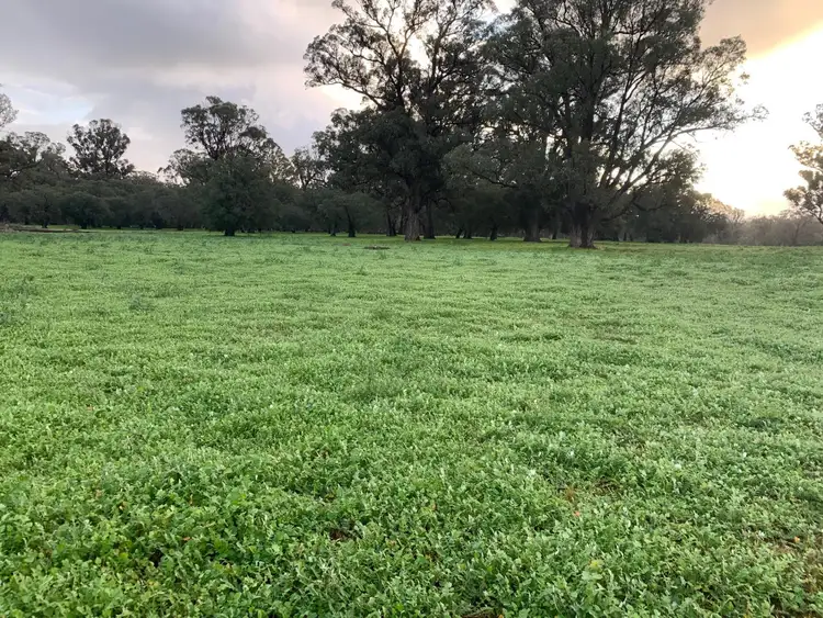 Third view of Homely rural property listing, Lot 209 Mallokup Road, Stirling Estate WA 6271