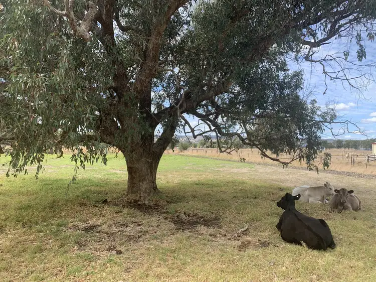 Second view of Homely rural property listing, 855 Brockman Rd, Cookernup WA 6220