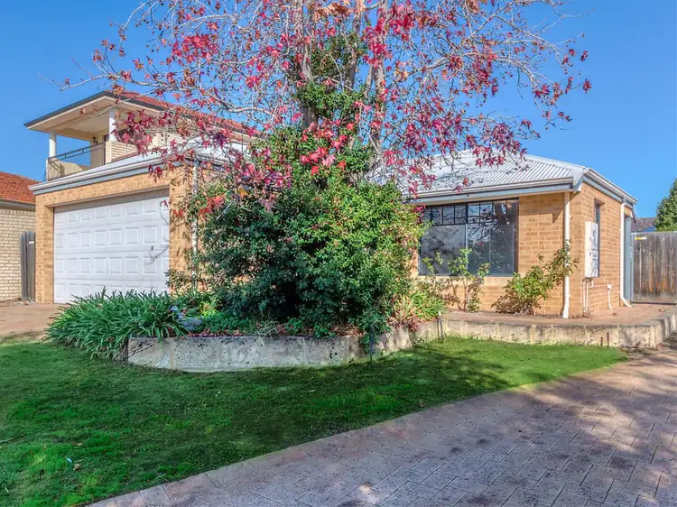 Main view of Homely house listing, 19A Grant Place, Bentley WA 6102