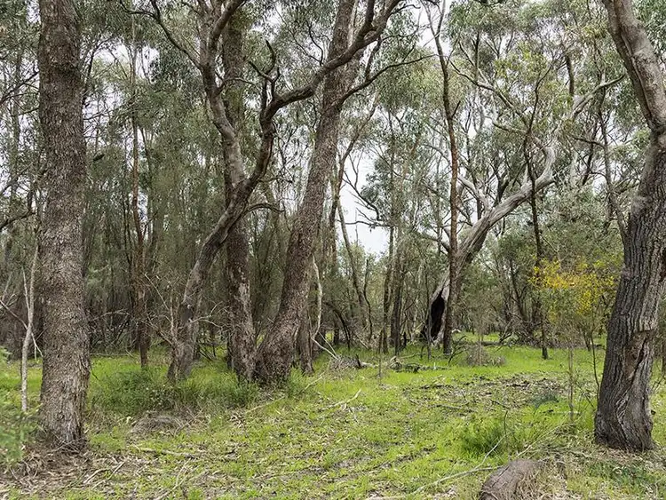 Fourth view of Homely land listing, 66 Wicksteed Close, Baldivis WA 6171