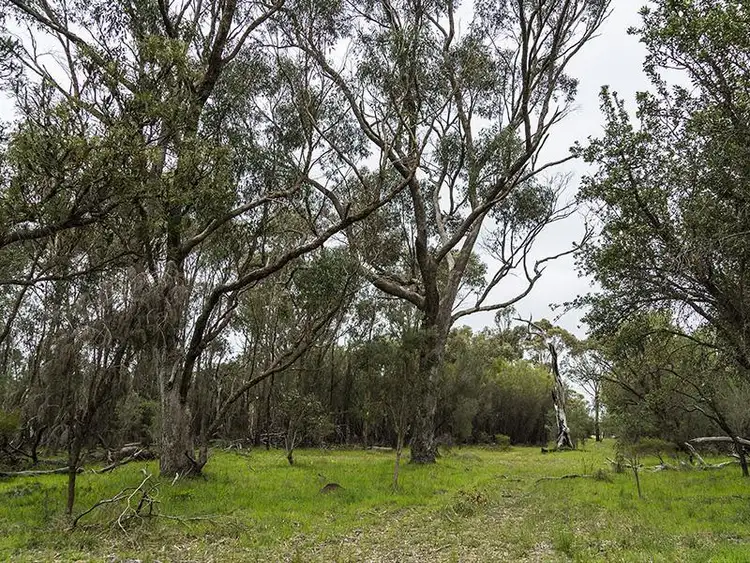 Fifth view of Homely land listing, 66 Wicksteed Close, Baldivis WA 6171