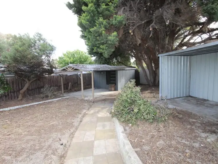 Seventh view of Homely house listing, 19 Moorhead Way, Koondoola WA 6064