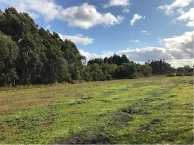 Fifth view of Homely rural property listing, 9790 (Lot 2) Vasse Highway, Pemberton WA 6260