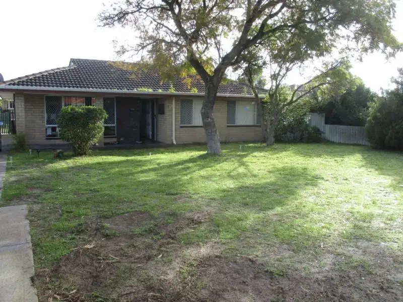 Main view of Homely house listing, 60 Kalangedy Drive, Riverton WA 6148