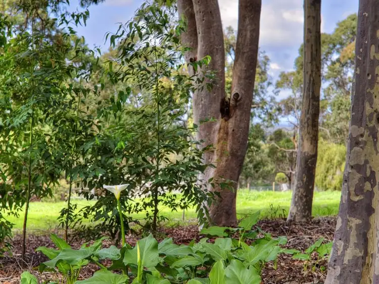 Fifth view of Homely land listing, 22 Rapida Rise, Yallingup Siding WA 6282