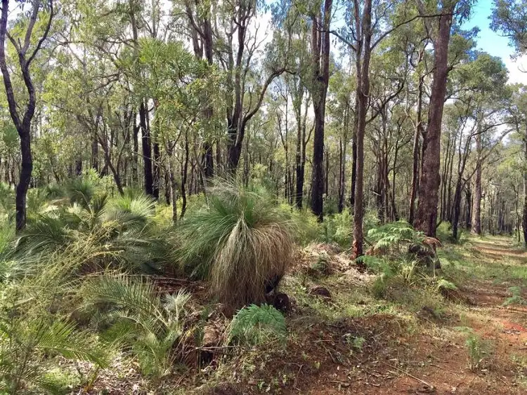 Sixth view of Homely land listing, 14 Rodgers Court, Roleystone WA 6111