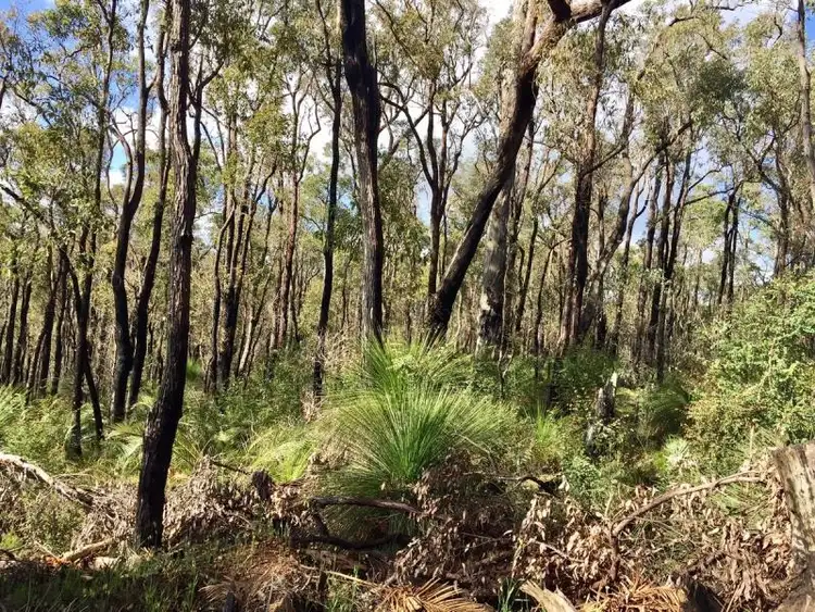 Seventh view of Homely land listing, 14 Rodgers Court, Roleystone WA 6111