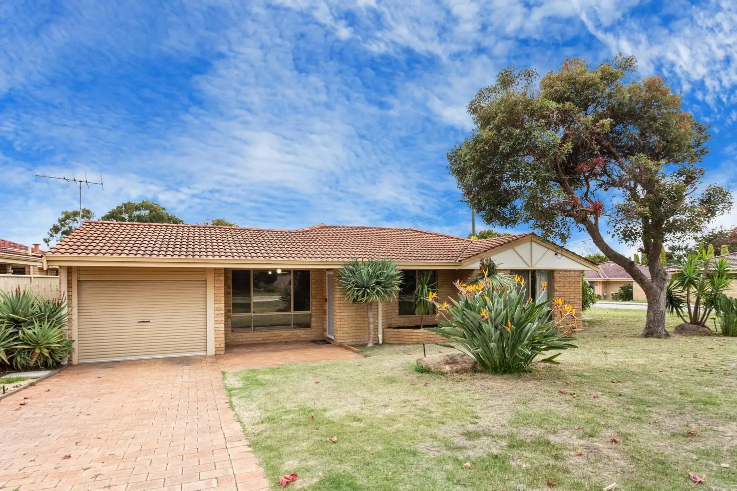 Main view of Homely unit listing, 42 Wrexham Street, Bicton WA 6157