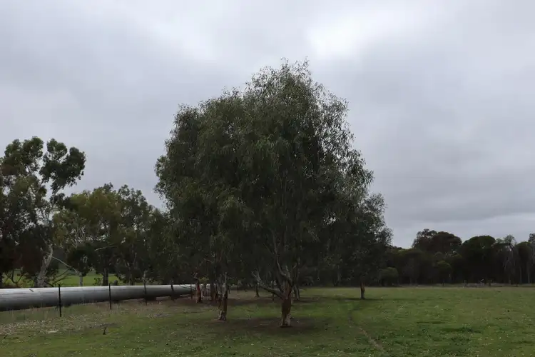 Second view of Homely land listing, 41 Pinjarra-Williams Road, Williams WA 6391
